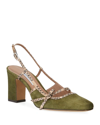 Tabitha Simmons Donnie Suede & Snakeskin Bow Pumps, Olive
