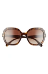 Prada Etiquette 54mm Square Sunglasses In Havana Solid