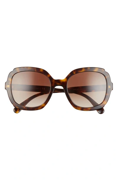 Prada Etiquette 54mm Square Sunglasses In Havana Solid