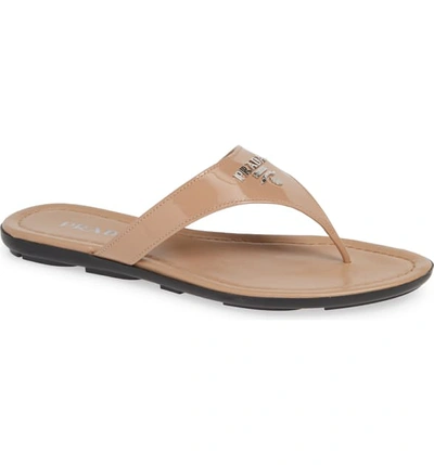 Prada Logo Flip Flop In Nude