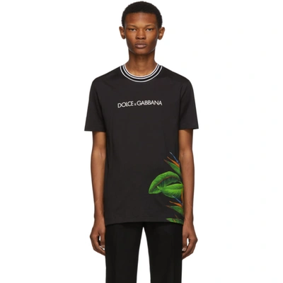 Dolce & Gabbana Cotton T-shirt With Bird Of Paradise Print And Logo In Multicolored