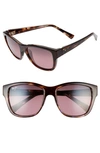 Maui Jim Hanapa'a 53mm Polarizedplus2 Sunglasses In Brown Purple Tortoise/ Rose