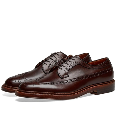 Alden Shoe Company Alden Long Wing Blucher In Brown