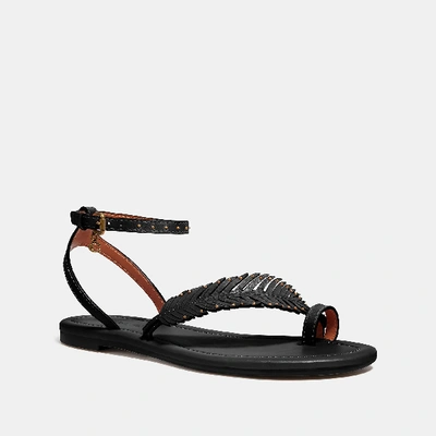 Coach Beach Flat Sandal In Black