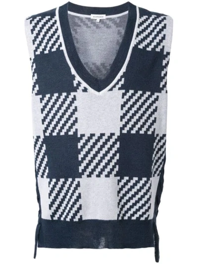 A(lefrude)e Sleeveless Jumper In Blue