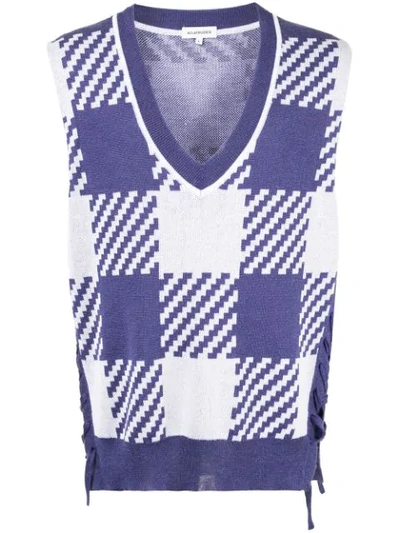 A(lefrude)e Sleeveless Jumper In Purple