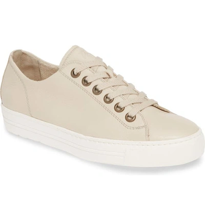 Paul Green Ally Leather Low Top Sneaker In Biscuit Leather