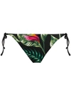 Mc2 Saint Barth Printed Virgo Bikini Bottoms - Black