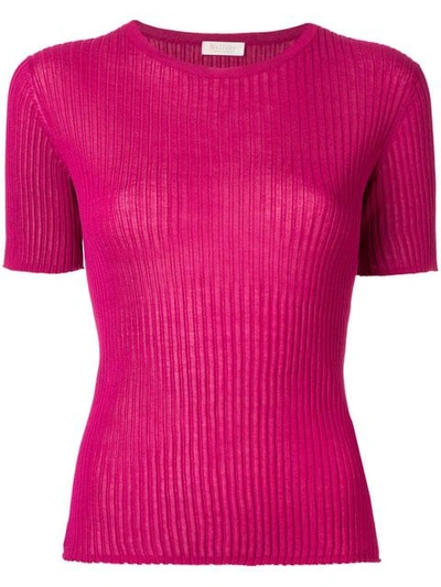 Ballsey Ribbed Knit T-shirt - Purple