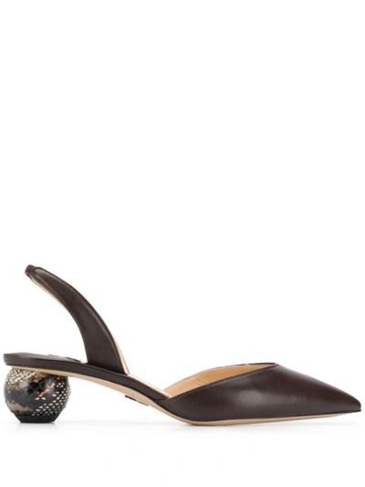 Paul Andrew Ball Heel Pumps In Brown