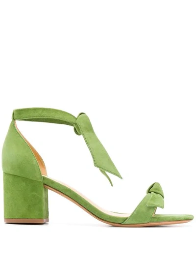 Alexandre Birman Tie Ankle Sandals In Green