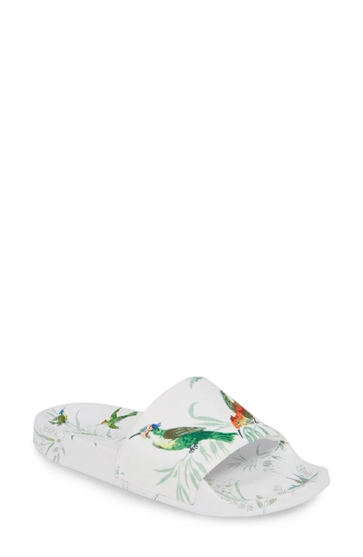 Ted Baker Women's Avelini Floral Slide Sandals In Fortune White Satin