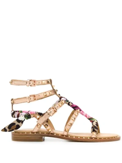 Ash Pax Studded Sandals In Rose Gold Leather With Gold Studs