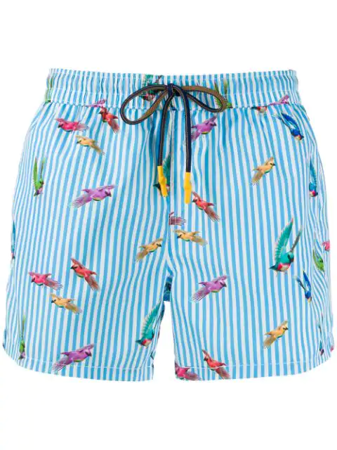 Entre Amis Tropical Birds Swimming Shorts - Blue | ModeSens