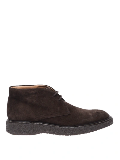 Tod's Men's Suede Desert Boots Lace Up Ankle Boots In Dark Brown