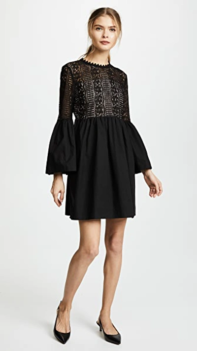 Endless Rose Lace Mini Dress In Black