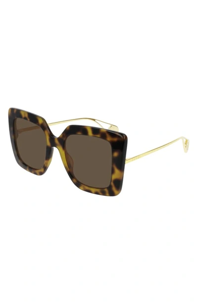 Gucci Acetate & Metal Square Sunglasses In Shiny Med Hav/ Brn Solid