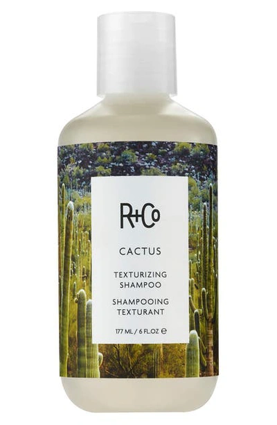 R + Co 6 Oz. Cactus Texturizing Shampoo