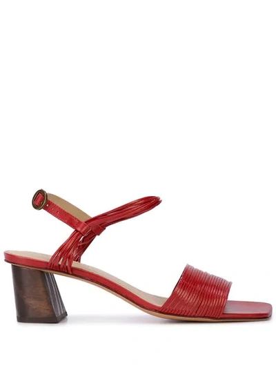 Mari Giudicelli Vitta Sandals In Red