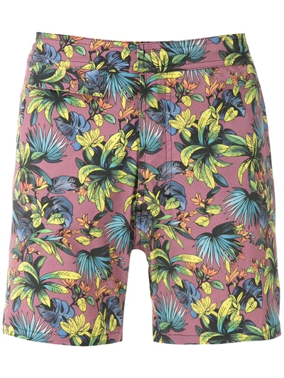 Amir Slama Foliage Print Swim Short In Red