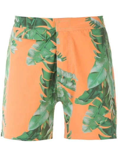 Amir Slama Foliage Print Swim Short In Green