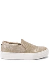 Steve Madden Gills Platform Slip-on Sneaker In Taupe Crocco