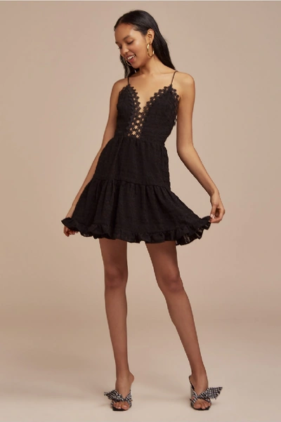 Finders Keepers Sofia Skater Dress In Black