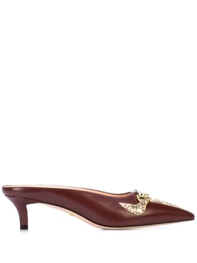 Gucci Zumi Leather & Genuine Snakeskin Pointy Toe Mule In Red