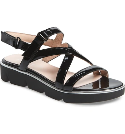 Patricia Green Capri Platform Slingback Sandal In Black Patent