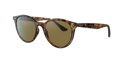 Ray Ban Ray In Brown