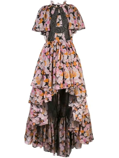 Giambattista Valli Printed Chiffon & Tulle Dress In Multicolour