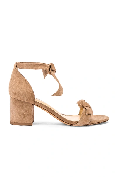 Alexandre Birman Clarita Block Sandal In Cameo