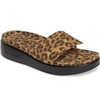 Donald Pliner Fifi Slide Sandal In Leopard Print