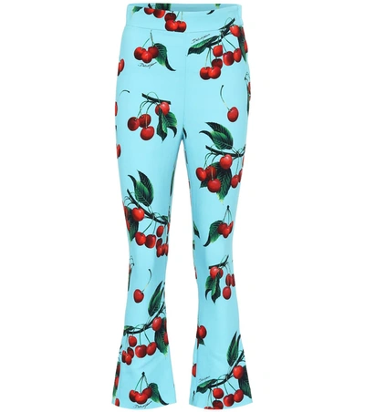 Dolce & Gabbana Cherry Printed High-rise Pants In Blue