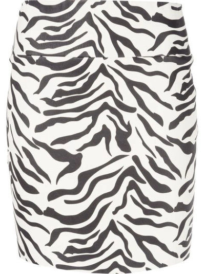 Sprwmn Zebra-print Leather Mini Skirt In White