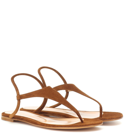 Gianvito Rossi Anya Suede Thong Sandals In Brown