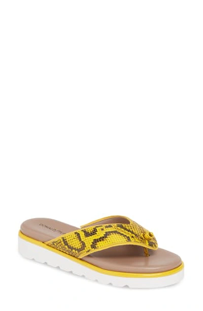 Donald J Pliner Leanne Snake-print Leather Thong Sandals In Yellow Snake Print Patent