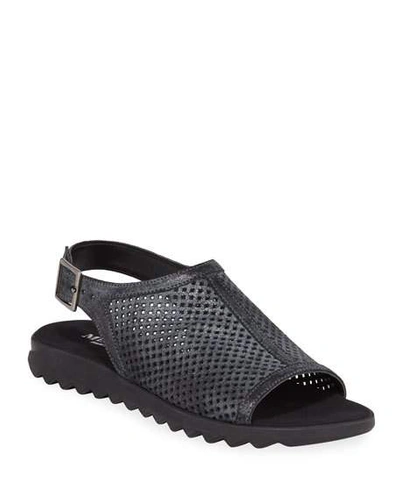 Sesto Meucci Tracy Perforated Shimmery Flat Sandals In Black