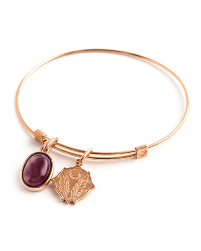 Alex And Ani Strength & Protection Charm Bracelet In Rose Gold