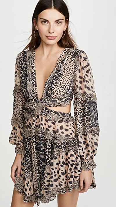 Zimmermann Eyes On Summer Cutout Leopard-print Cotton And Silk-blend Chiffon Dress In Animal