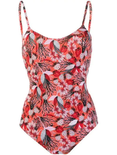 Emmanuela Swimwear Amy Floral Print Swimsuit In Red