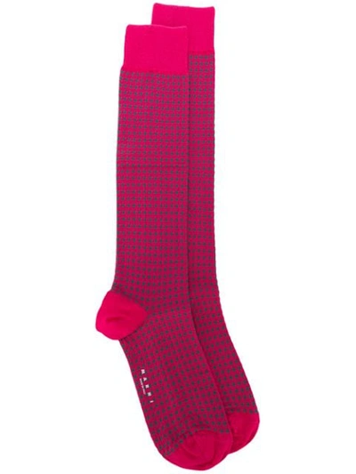 Marni Houndstooth Socks In Jqc57 Fuchsia