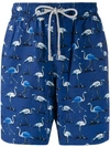 Bluemint Eclipse Flamingo Print Swim Shorts In Blue