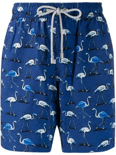 Bluemint Eclipse Flamingo Print Swim Shorts In Blue