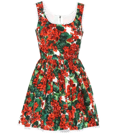 Dolce & Gabbana Geranium Sleeveless Cotton Poplin Fit-&-flare Short Dress In Red