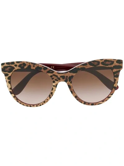 Dolce & Gabbana Leopard Print Cat-eye Sunglasses In Neutrals