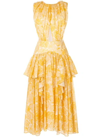 Acler Grosvenor Cutout Printed Georgette Dress In Yellow