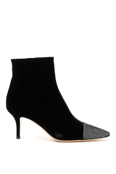 Gianvito Rossi Velvet Booties With Strass Toe In Black