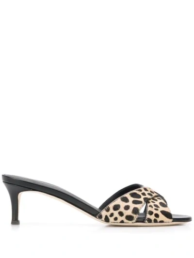 Giuseppe Zanotti Women's Leopard-print Calf Hair Slide Sandals In Leopard Print