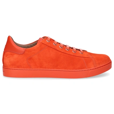 Gianvito Rossi Low-top Sneakers Low Top In Orange